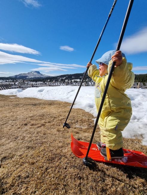 "With skies so wide and poles so tall, this tiny shredder fears no fall."