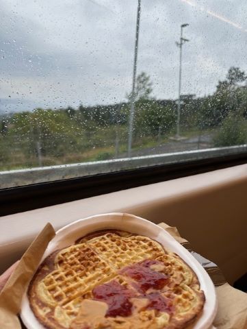 On the train in Oslo, from Frognerseteren. 